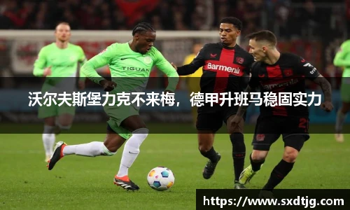 沃尔夫斯堡力克不来梅，德甲升班马稳固实力